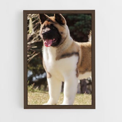 ap-akita-5 cadre Bois foncé