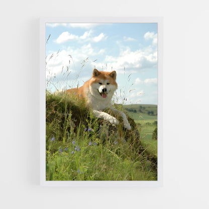 ap-akita-6 cadre Blanc
