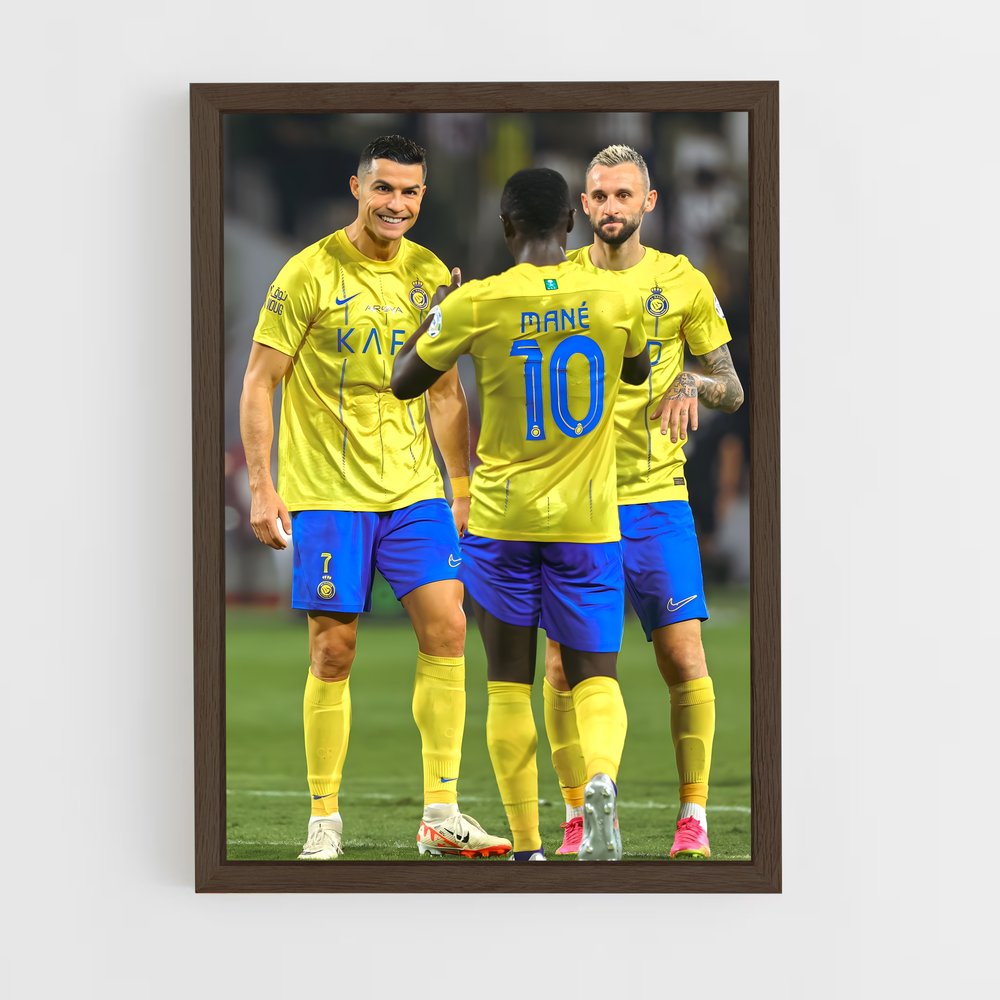ap-al raed fc-1 cadre Bois foncé