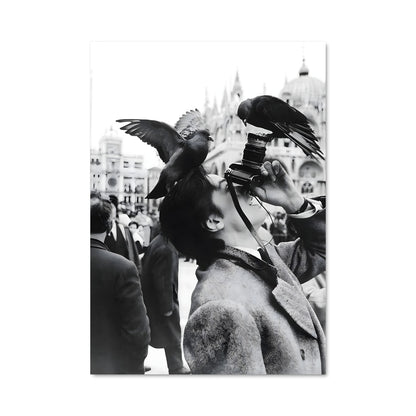 Poster Oiseau de Nuit
