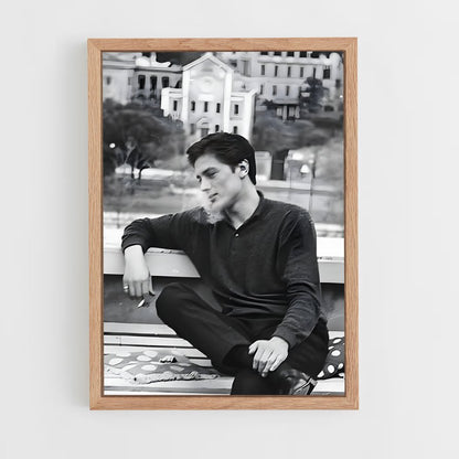 ap-alain delon-8 cadre Bois clair