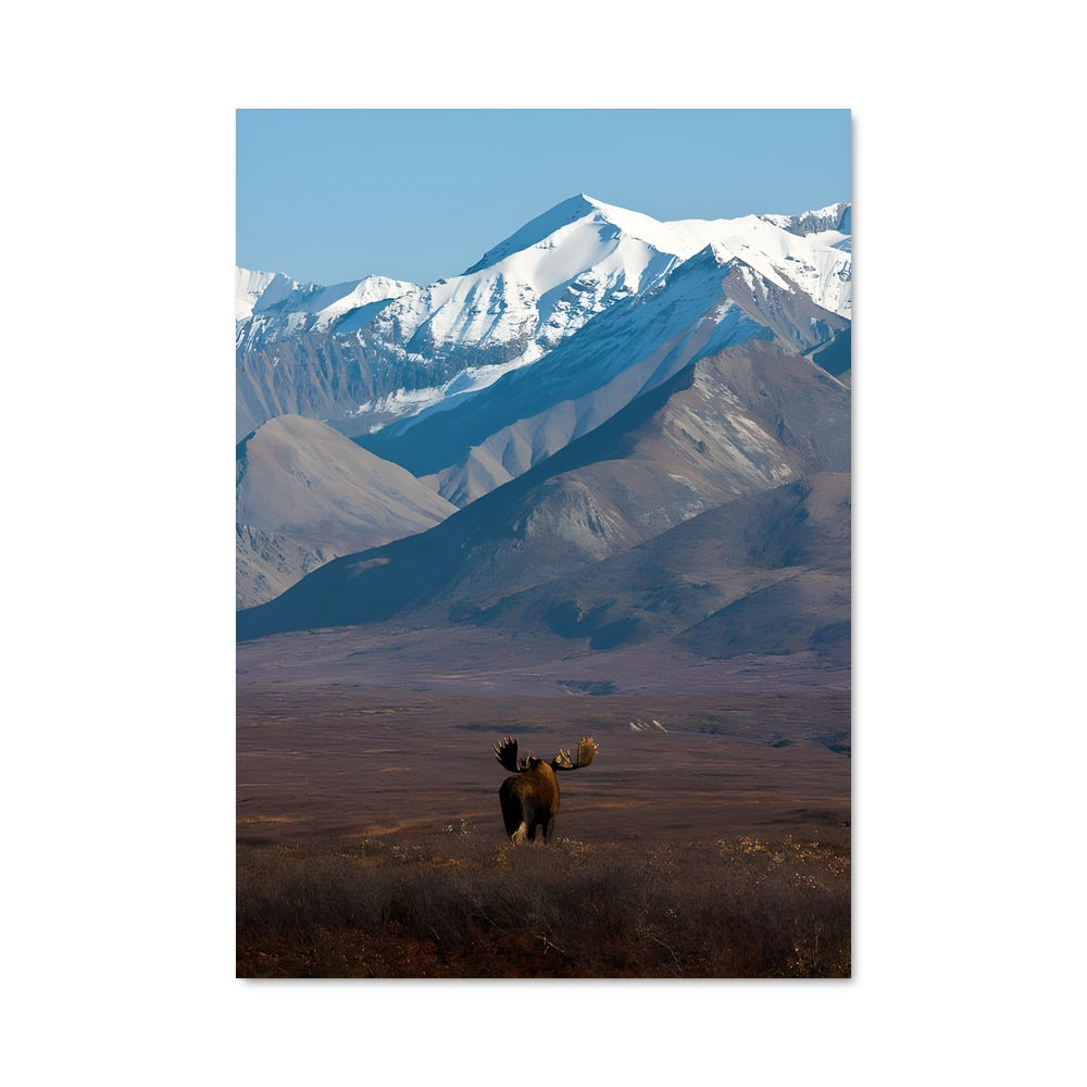 Poster Éléphant de Toundra