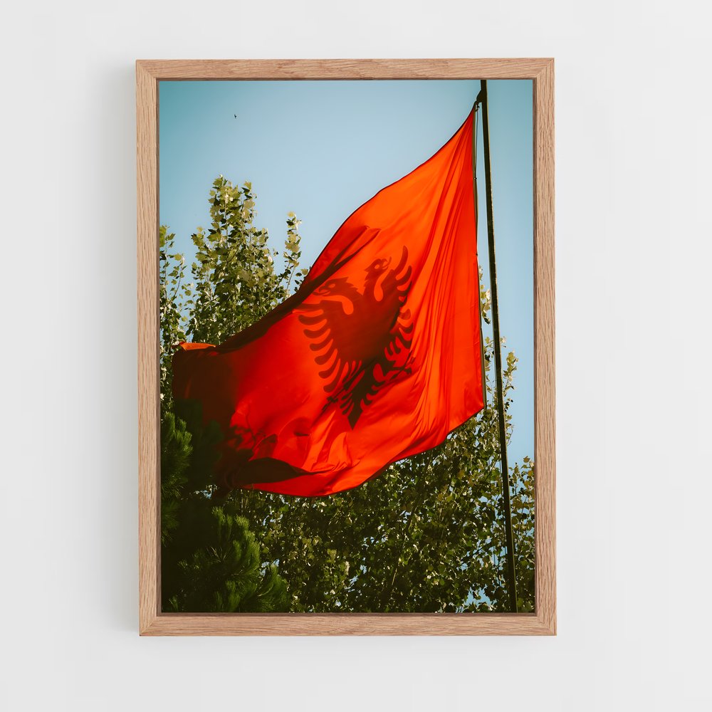ap-albania flag-3 cadre Bois clair