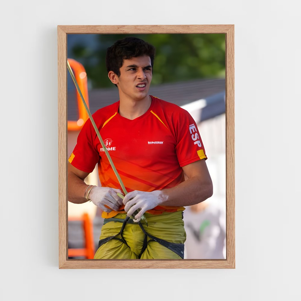 ap-alberto gines lopez-5 cadre Bois clair