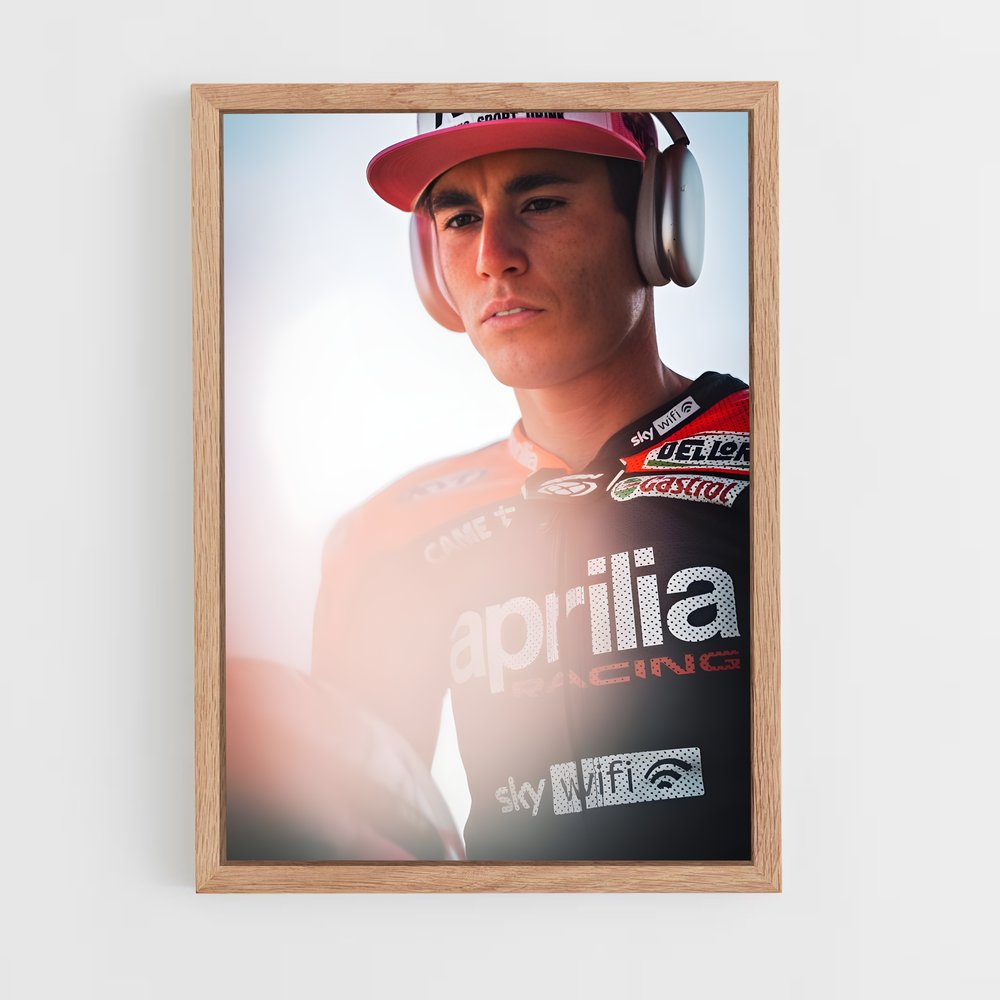 ap-aleix espargaro-8 cadre Bois clair