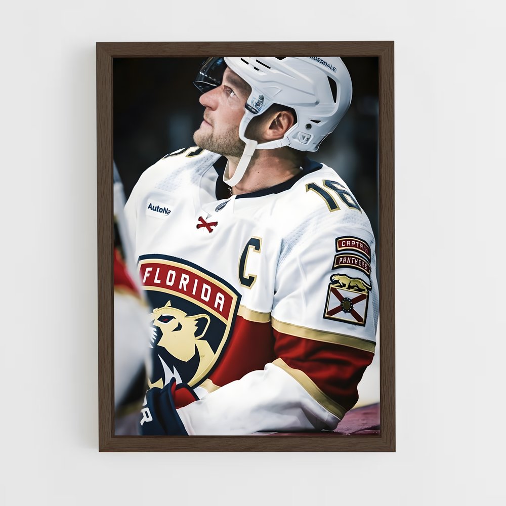 ap-aleksander barkov-2 cadre Bois foncé
