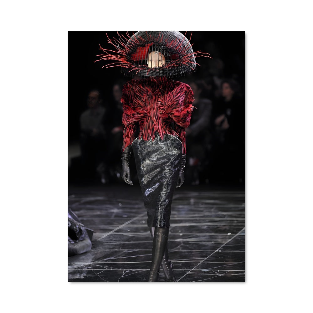 Poster Plumes Noires