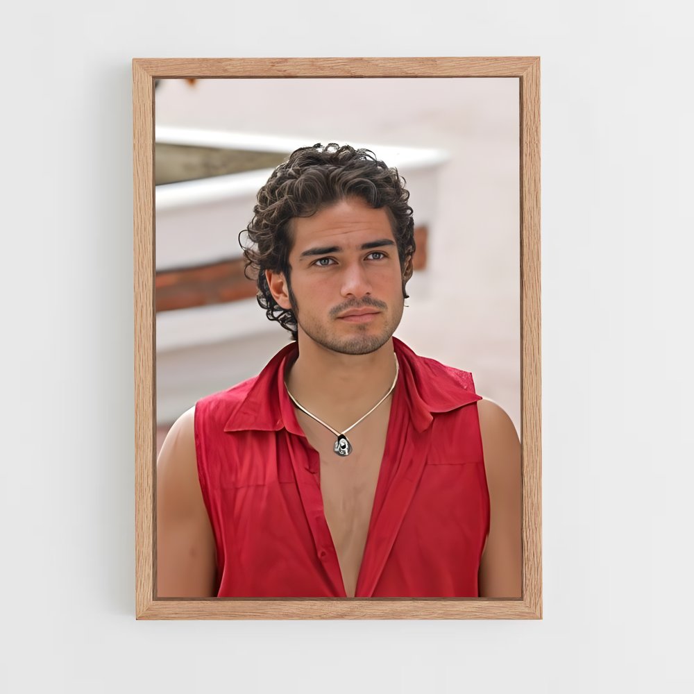ap-alfonso herrera-9 cadre Bois clair