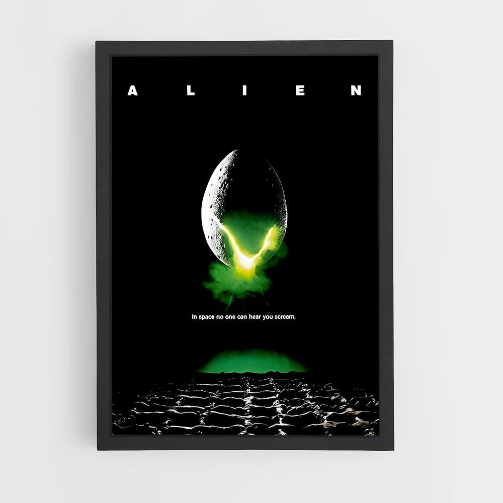 ap-alien-1 cadre Noir