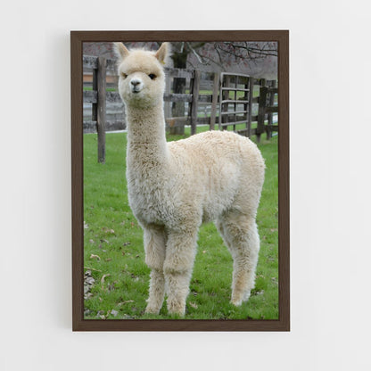 ap-alpaca-1 cadre Bois foncé