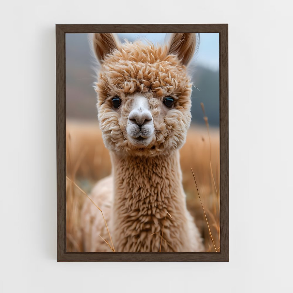 ap-alpaca-2 cadre Bois foncé