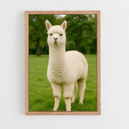 ap-alpaca-6 cadre Bois clair