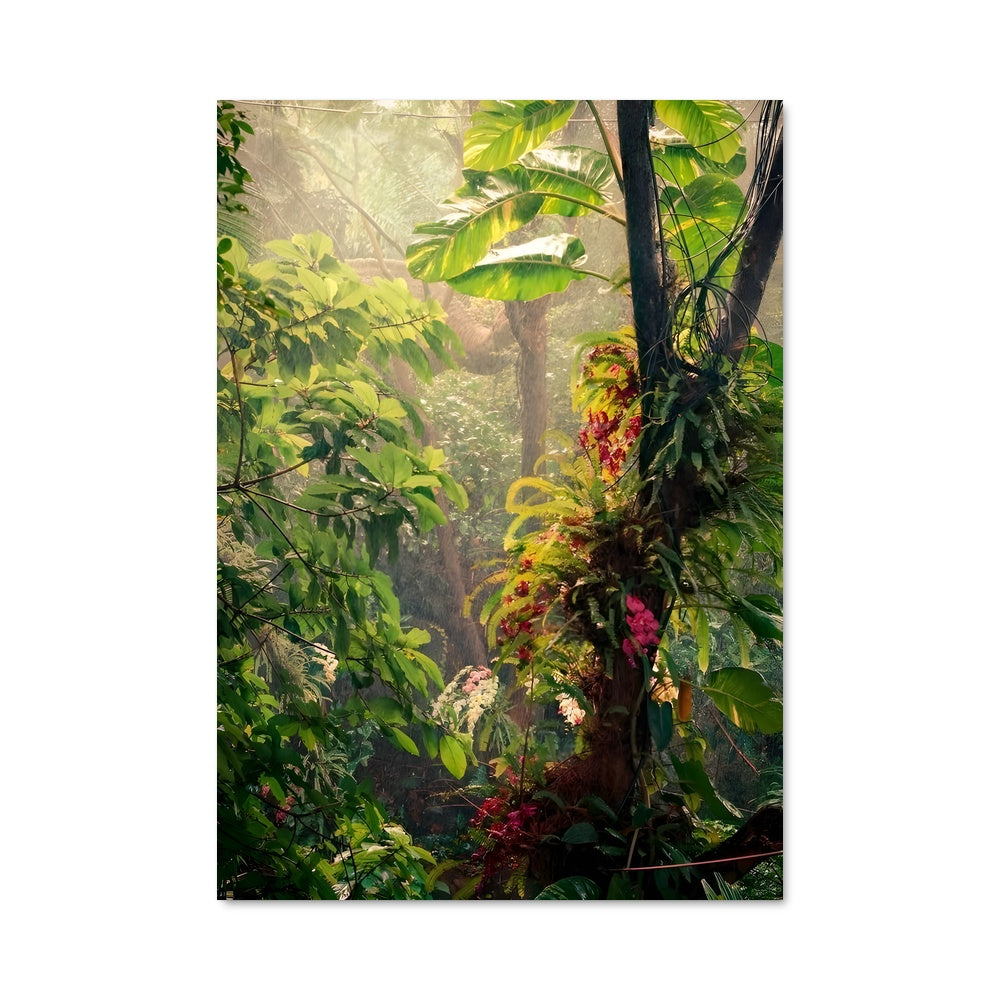 Poster Jungle Émeraude