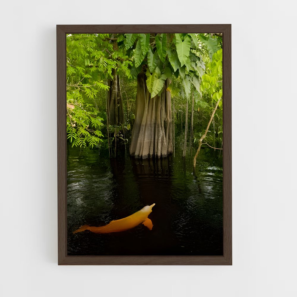 ap-amazon rainforest-1 cadre Bois foncé
