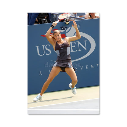 Poster Ace in Action