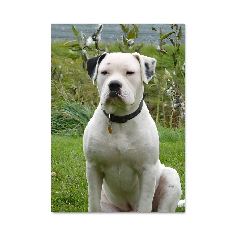 Poster Bulldog au Bord de l'Eau