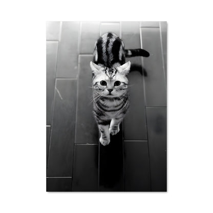 Poster Pas de Chat, Pas de Gâteau