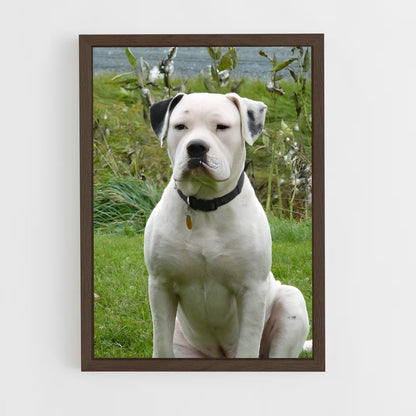 ap-american bulldog-1 cadre Bois foncé