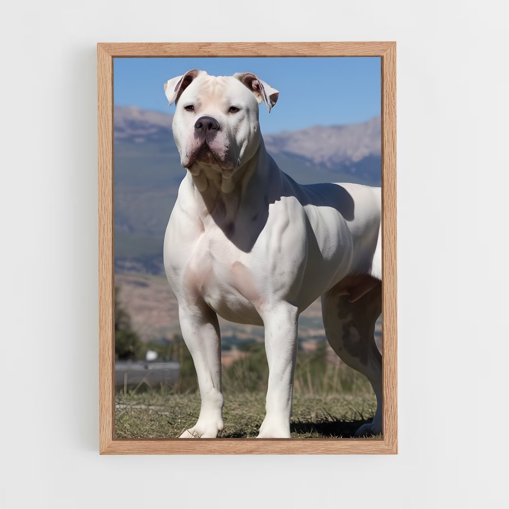 ap-american bulldog-2 cadre Bois clair