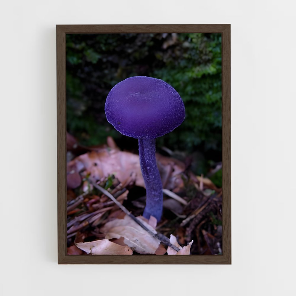 ap-amethyst deceiver-1 cadre Bois foncé