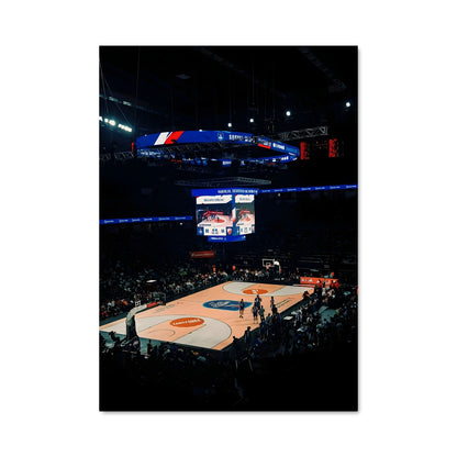 Poster Anadolu efes basketball 58817