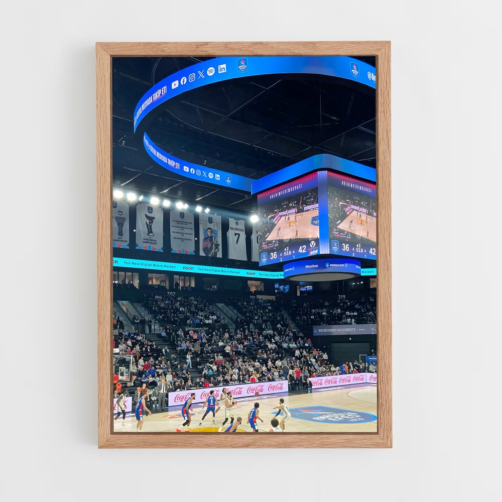 ap-anadolu efes basketball-3 cadre Bois clair