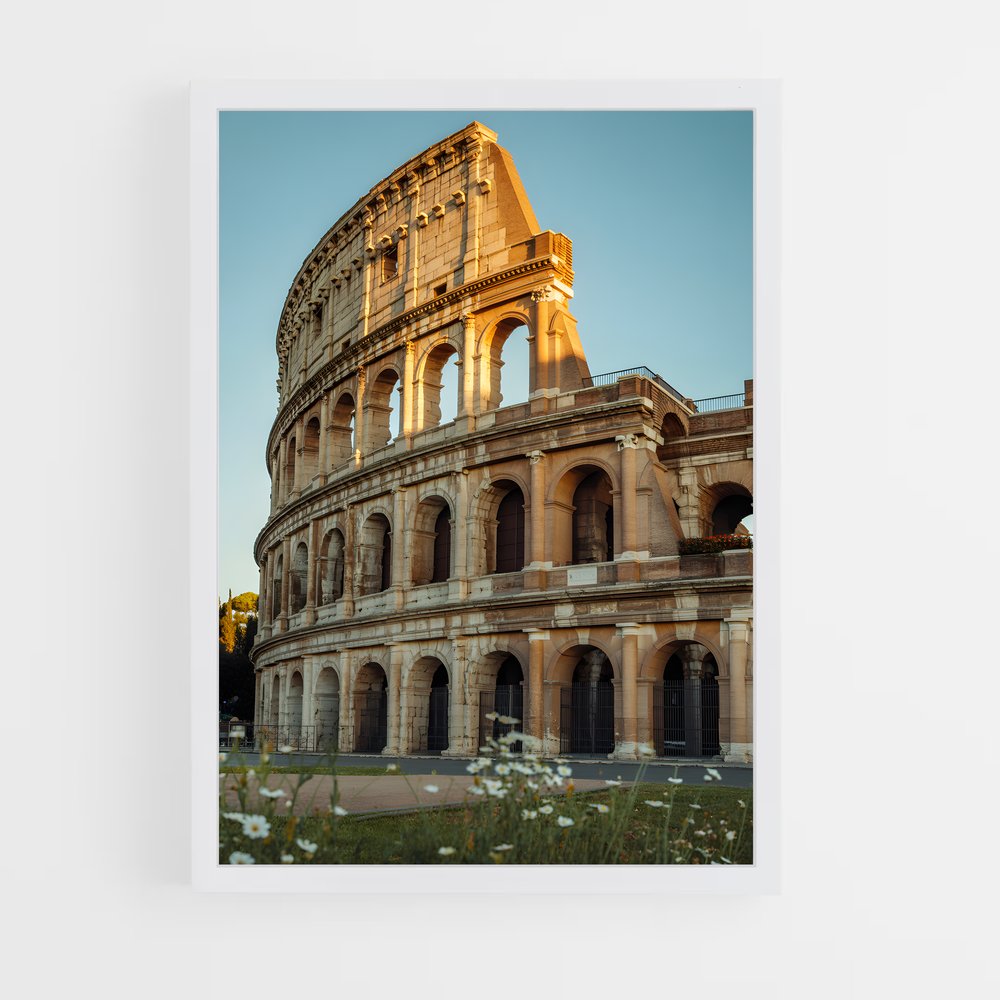 ap-ancient rome-6 cadre Blanc