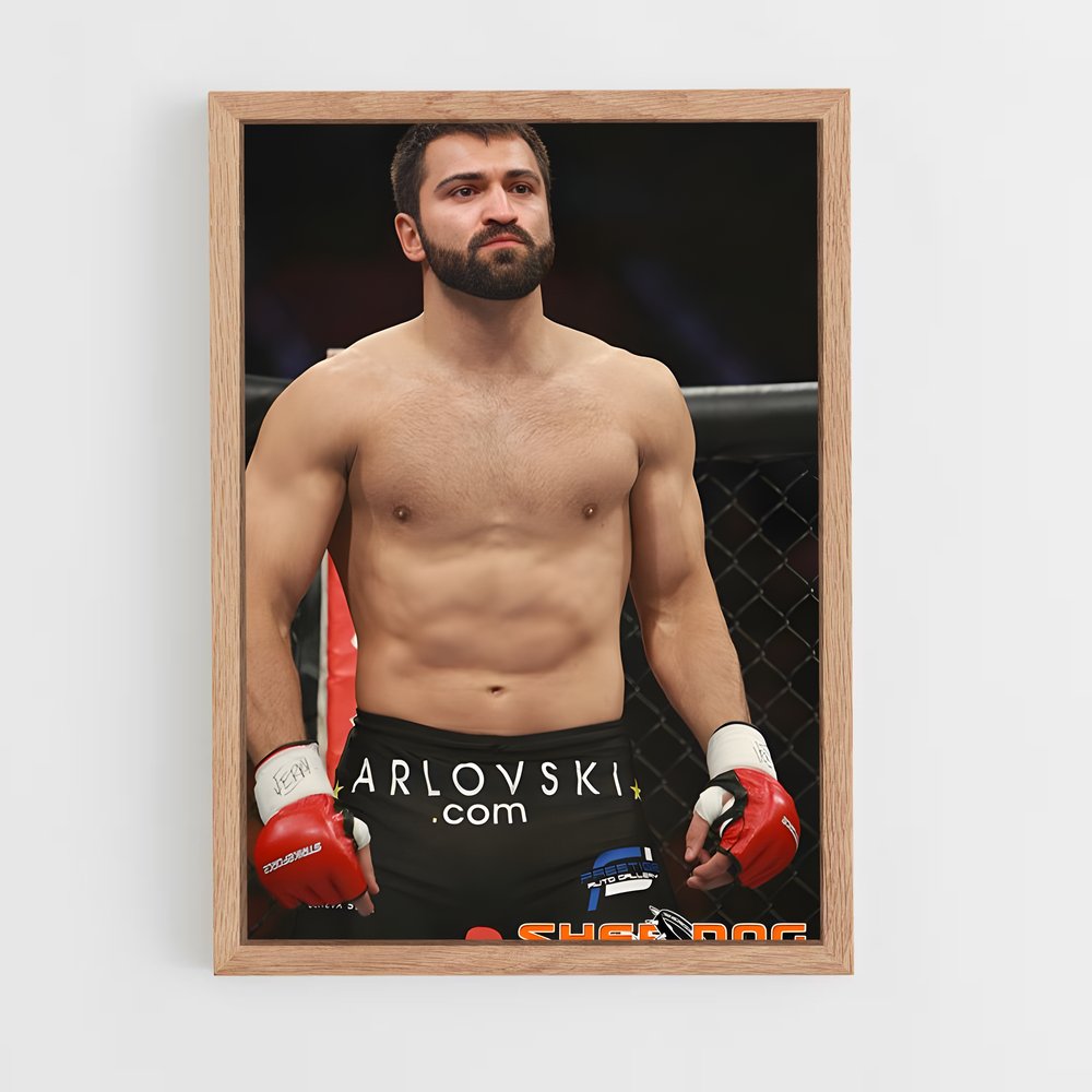 ap-andrei arlovski-1 cadre Bois clair