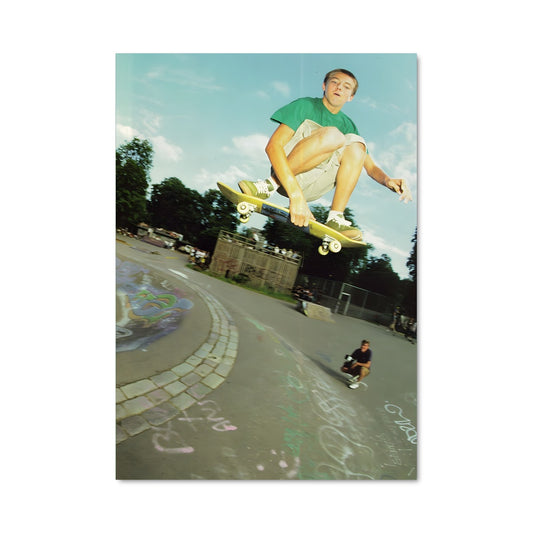 Poster Trickster Reynolds