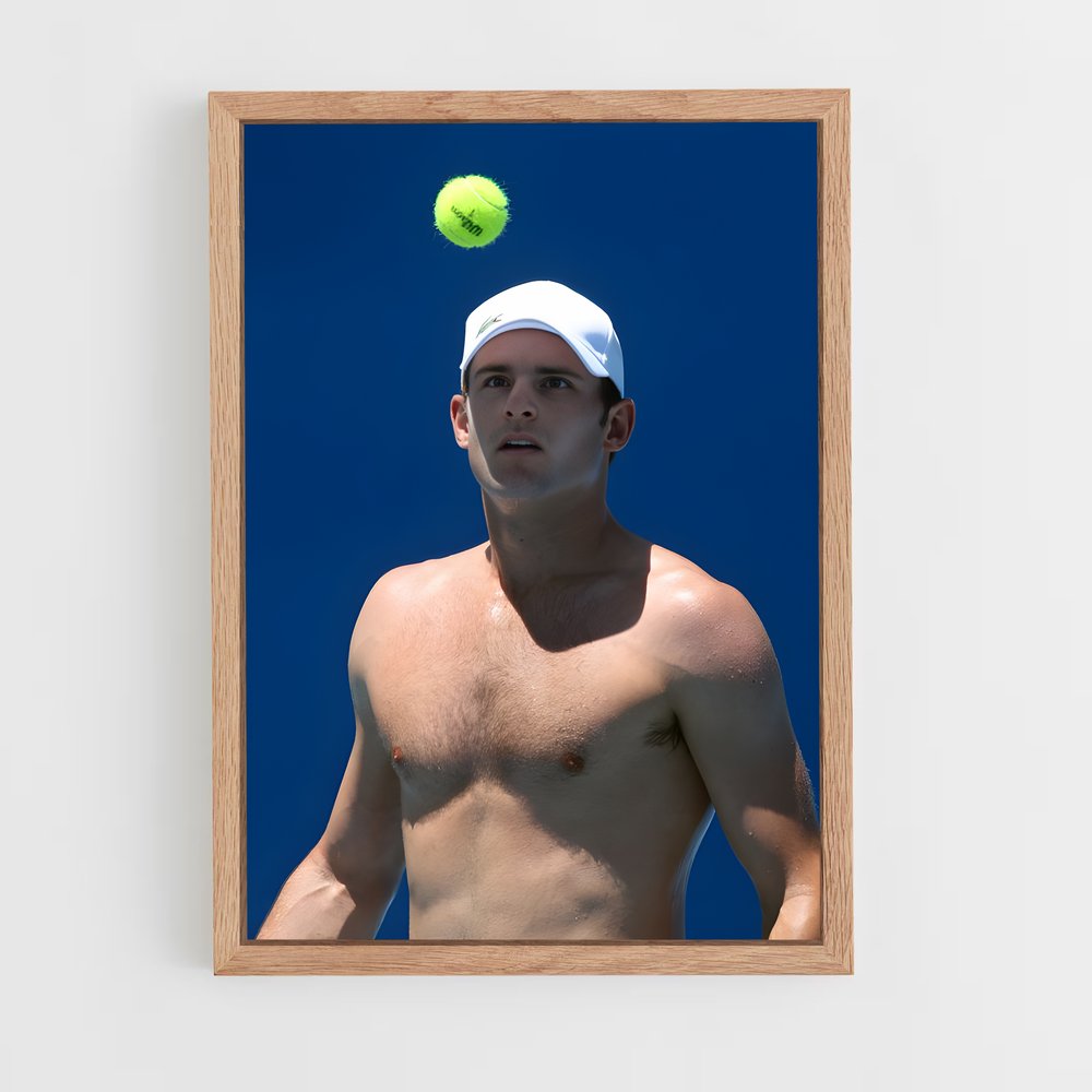 ap-andy roddick-2 cadre Bois clair