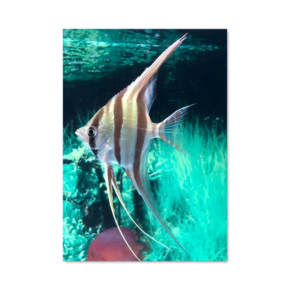 Poster Nage Éthérée
