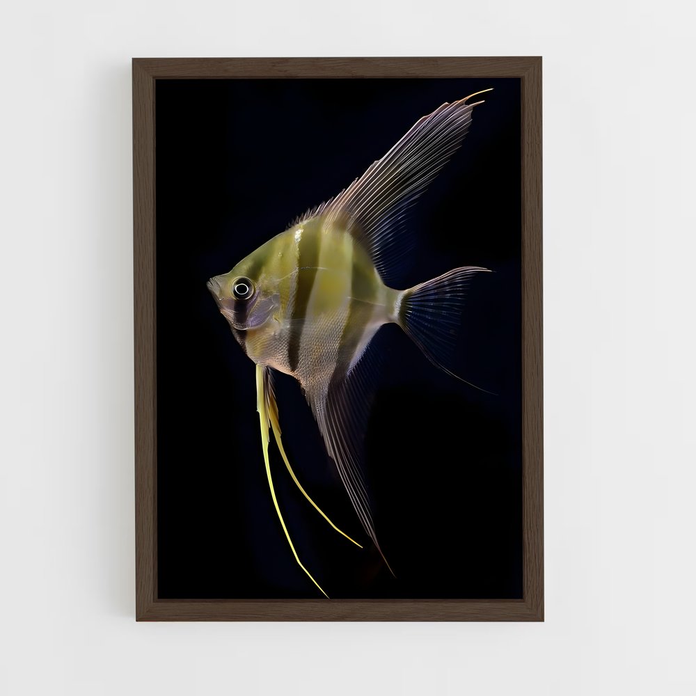 ap-angelfish-5 cadre Bois foncé