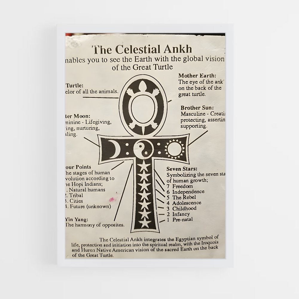ap-ankh-2 cadre Blanc