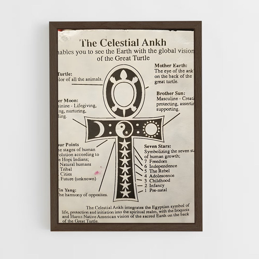 ap-ankh-2 cadre Bois foncé