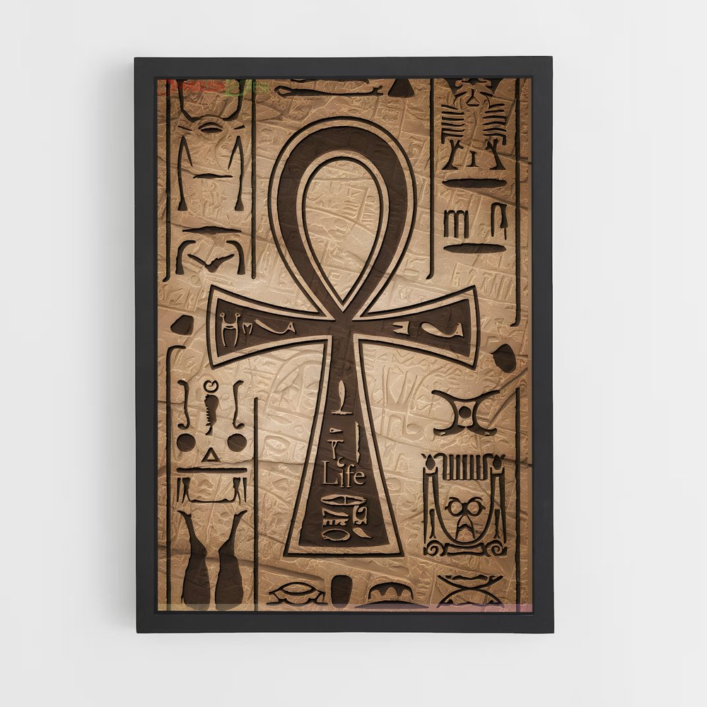 ap-ankh-8 cadre Noir