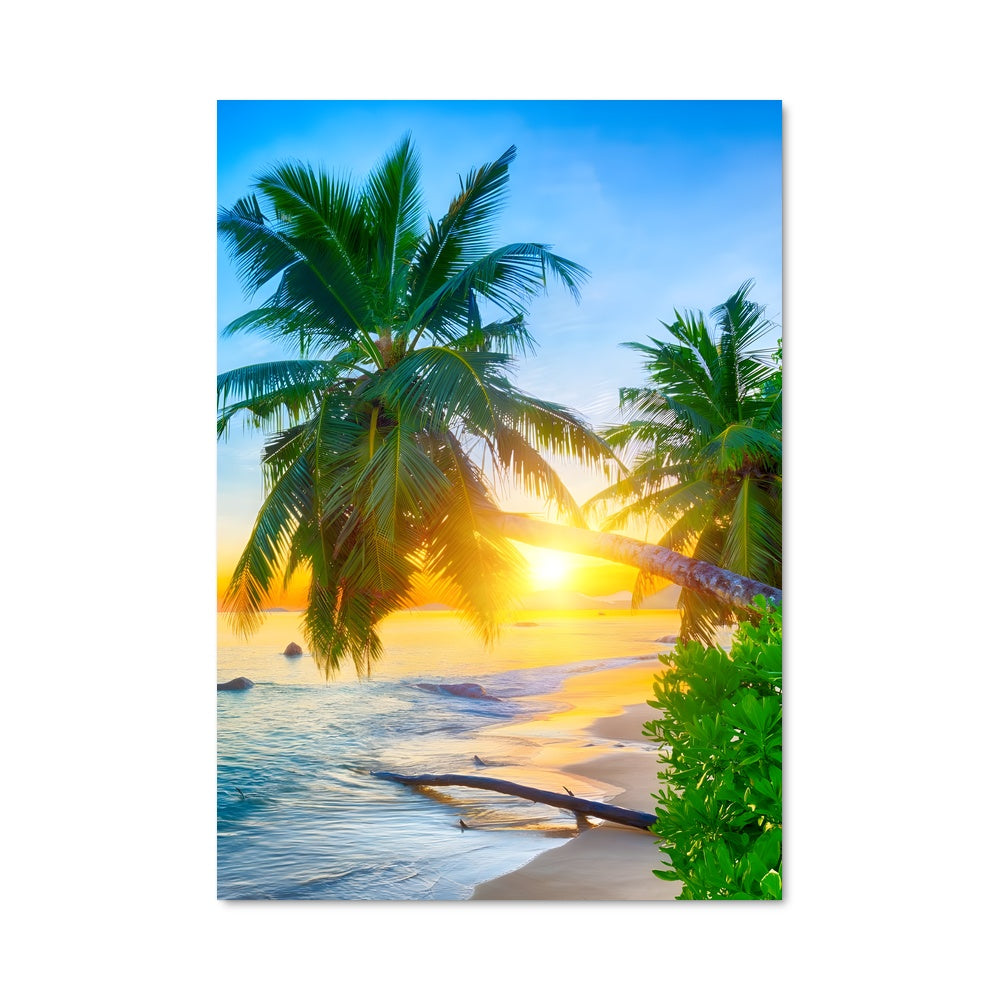 Poster Coucher de Soleil Tropical