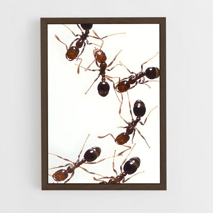 ap-ant-11 cadre Bois foncé