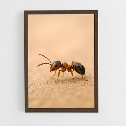 ap-ant-6 cadre Bois foncé