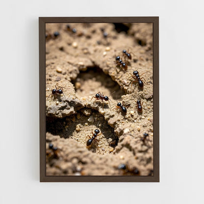 ap-ant-9 cadre Bois foncé