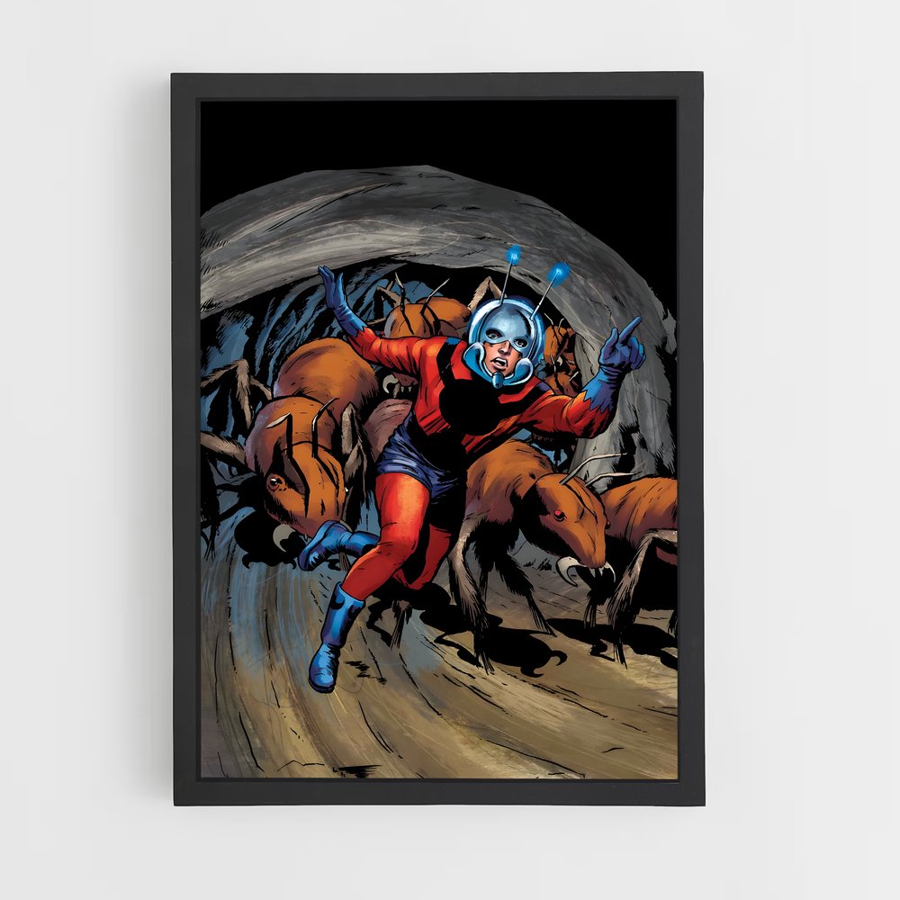 ap-ant man-10 cadre Noir