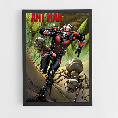 ap-ant man-2 cadre Noir