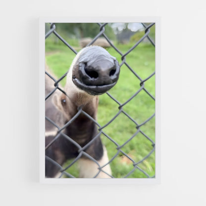 ap-anteater-2 cadre Blanc