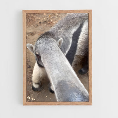 ap-anteater-5 cadre Bois clair