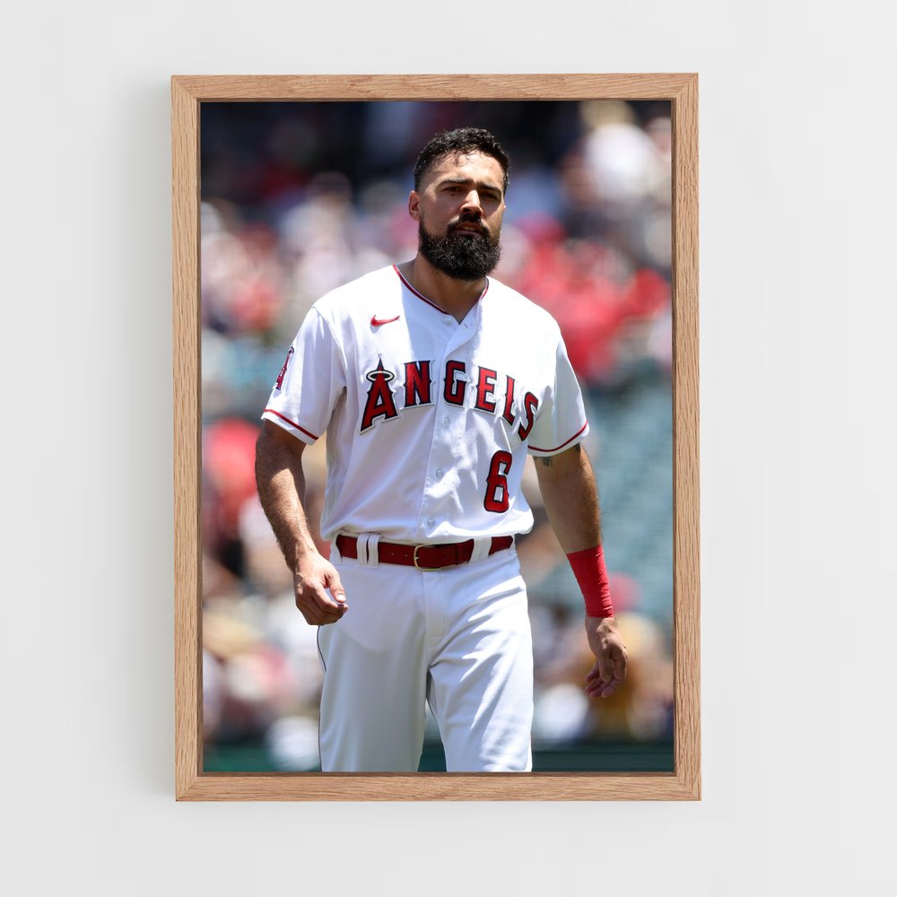 ap-anthony rendon-1 cadre Bois clair