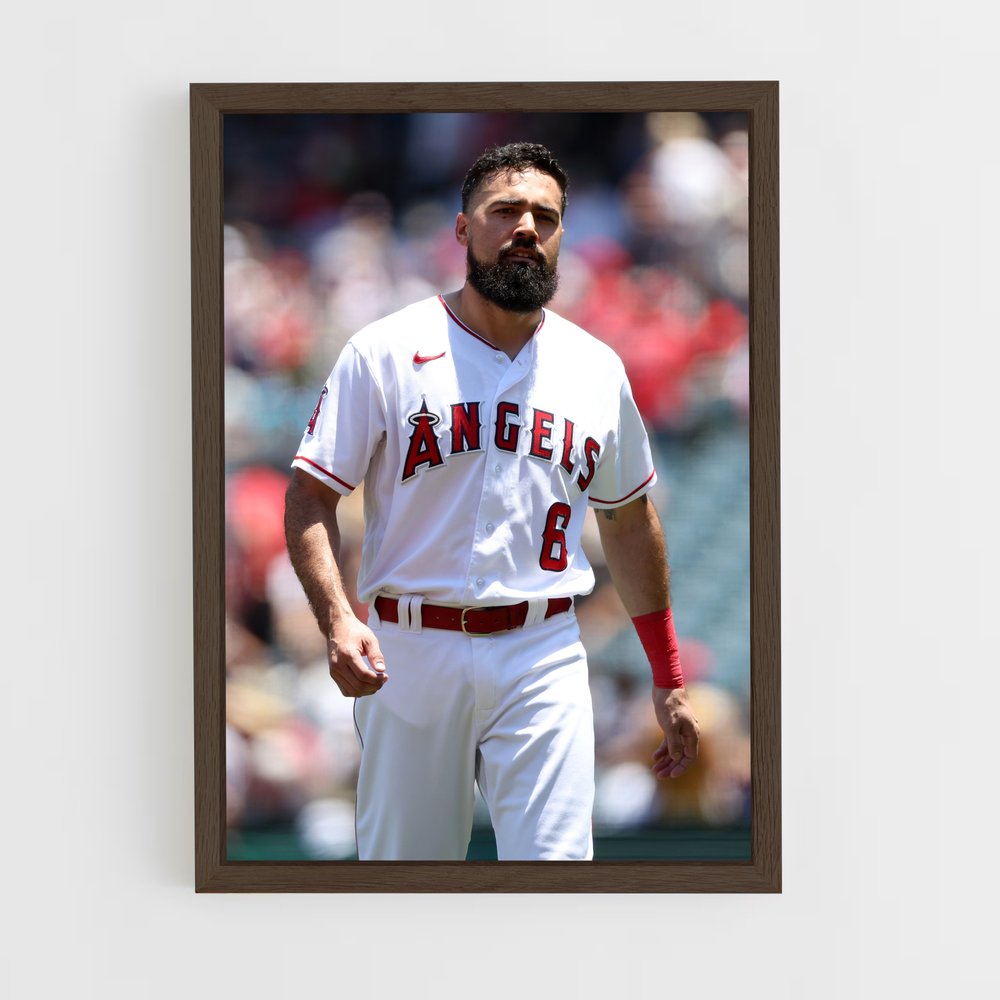 ap-anthony rendon-1 cadre Bois foncé