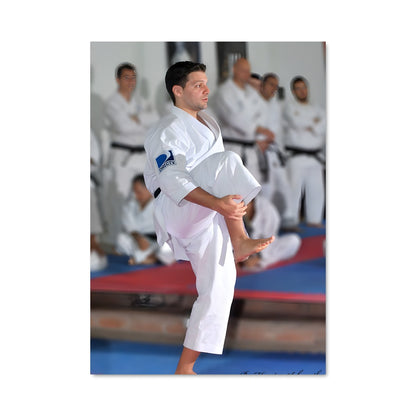 Poster Karate Masterclass