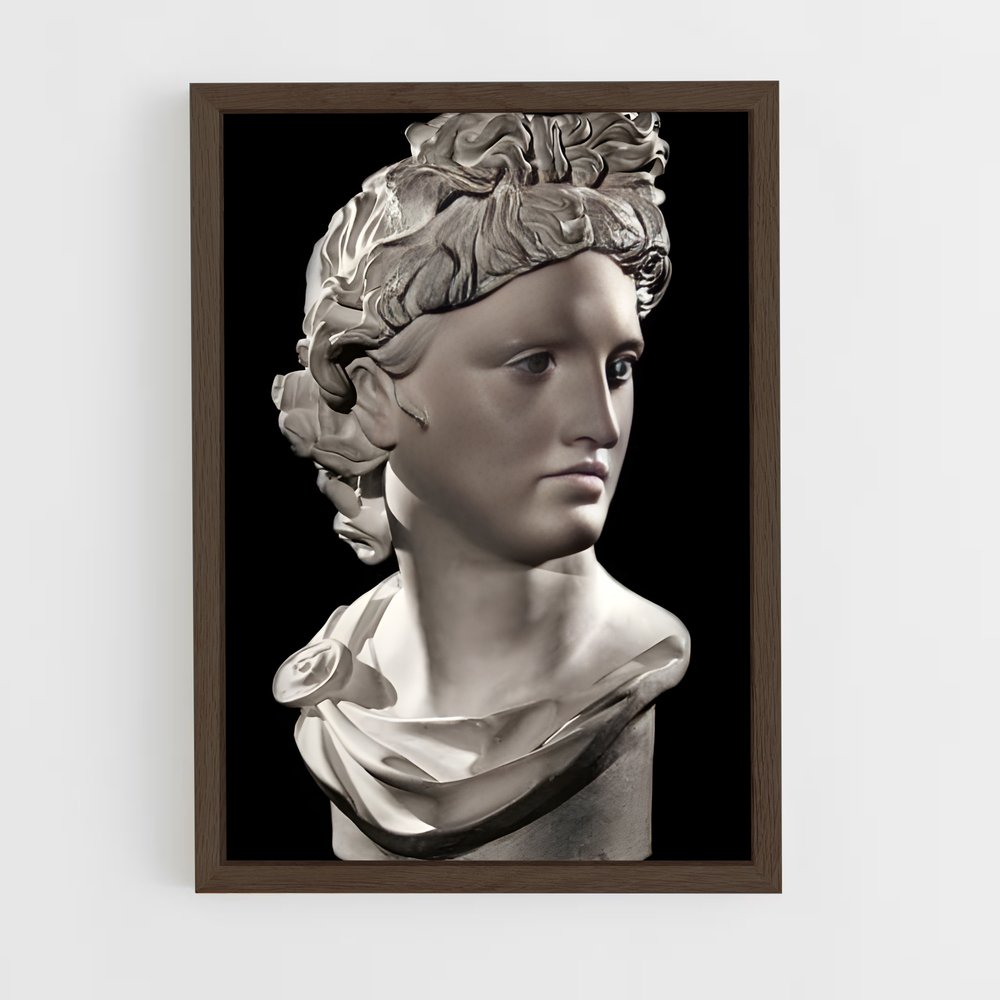 ap-apollo belvedere-3 cadre Bois foncé