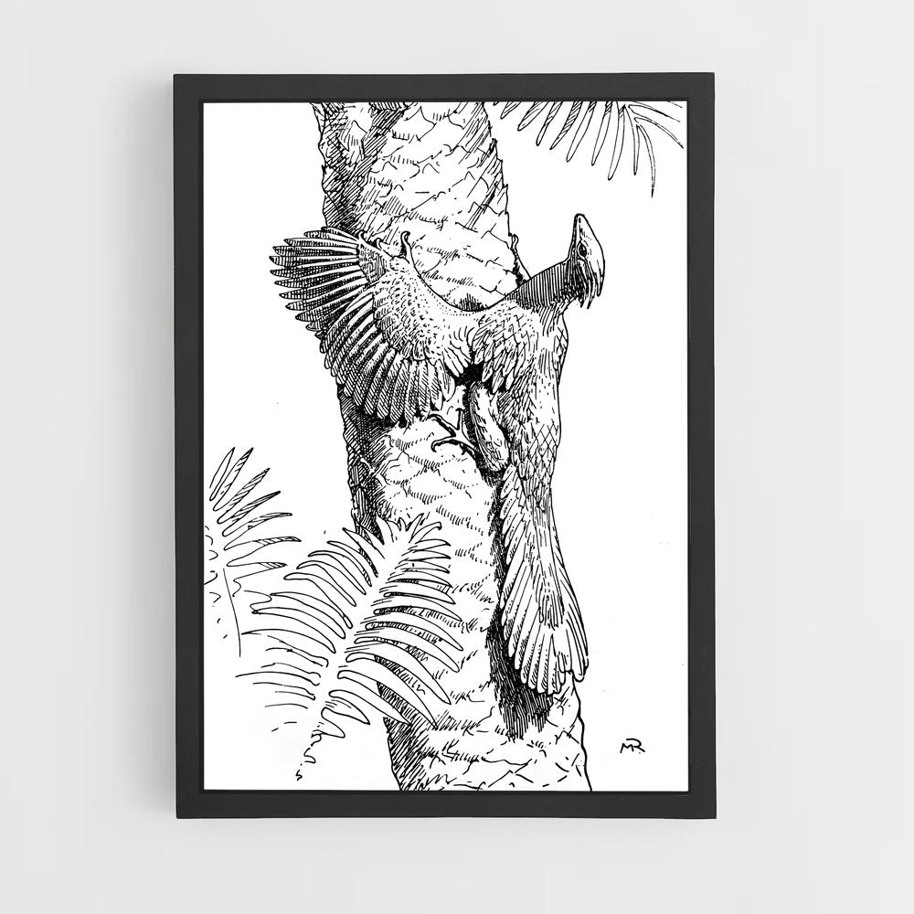 ap-archaeopteryx-3 cadre Noir