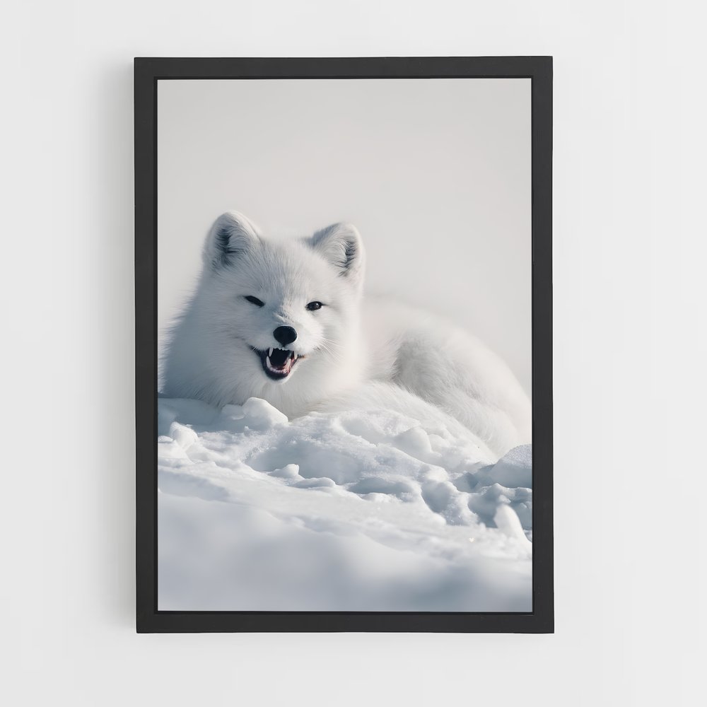 ap-arctic fox-1 cadre Noir