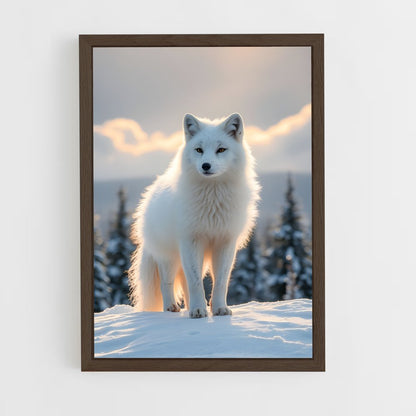 ap-arctic fox-2 cadre Bois foncé